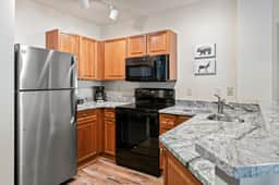 Zephyr Ski In/Out Condo 2207