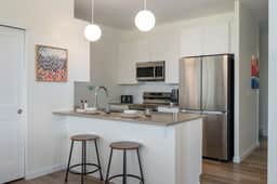 Sunnyside Flats Luxury Condo 321 6